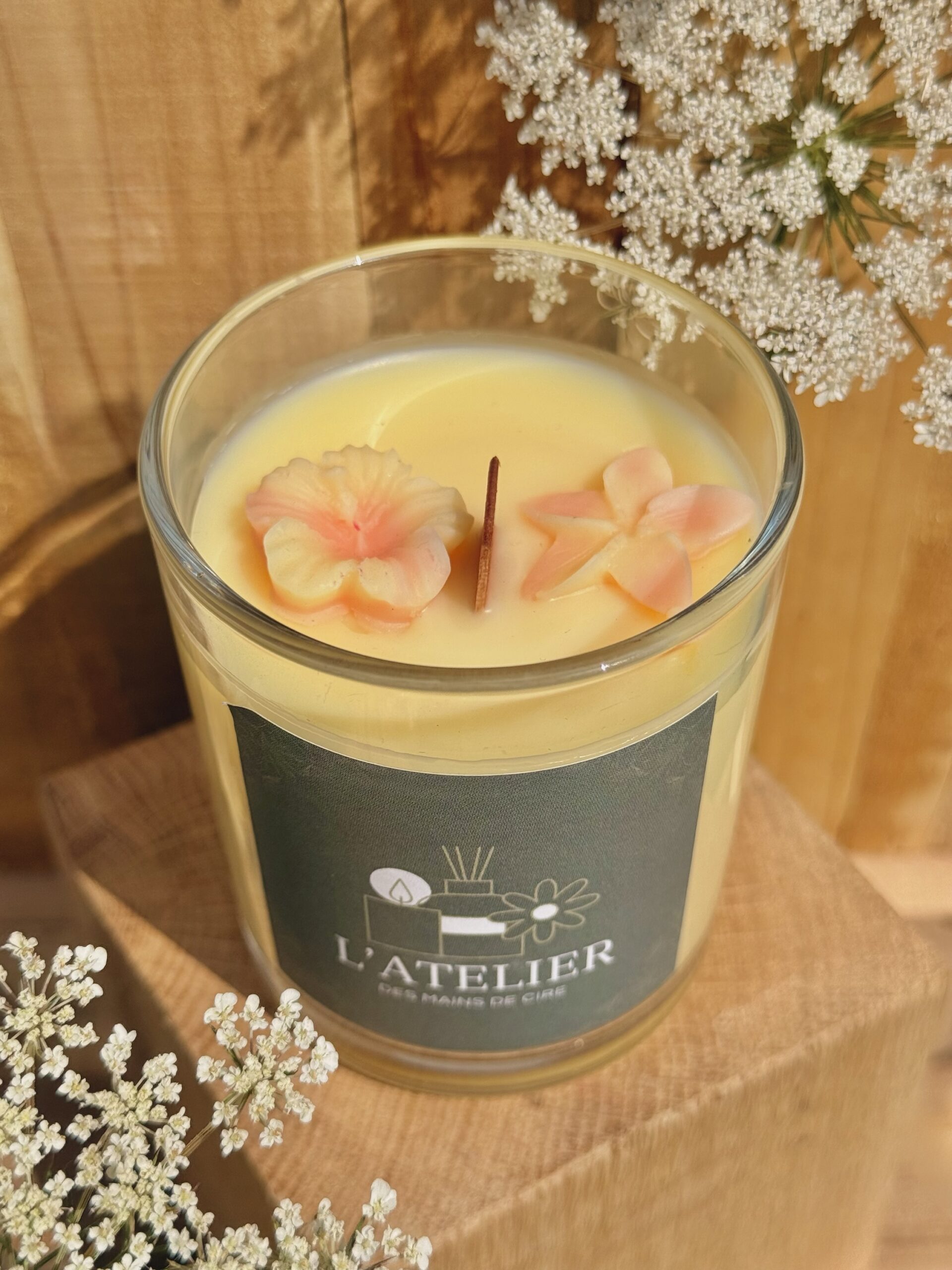 Paradis exotique